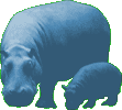 hippo_green