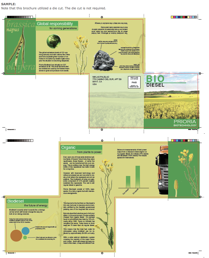 brochure