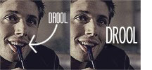 drool