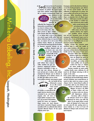 text wrap image