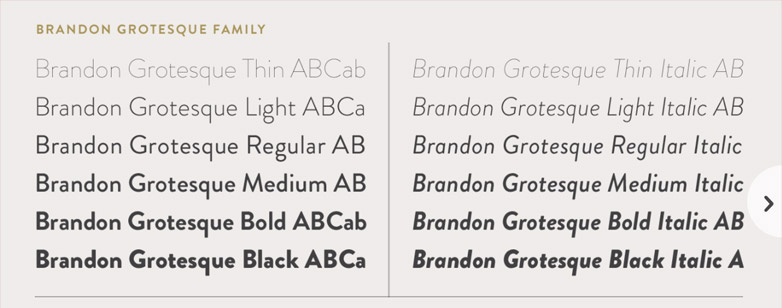 type family graph