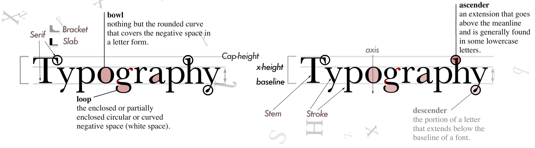 type family graph