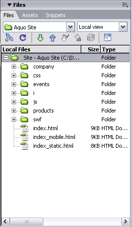 The files for the defined site appear in the Files panel.