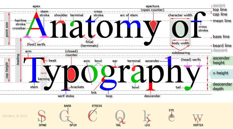 Anatomy of type