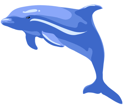 dolphin