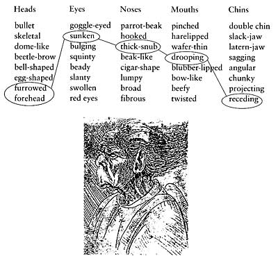 davinci attributes